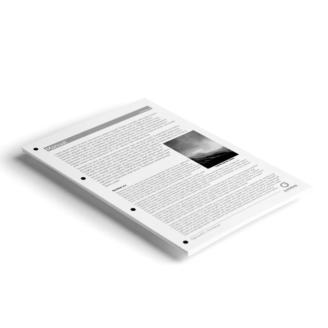 100ml Printer Refillable Ink Cartridges and CISS Systems cyan, magenta, yellow, light cyan and light magenta