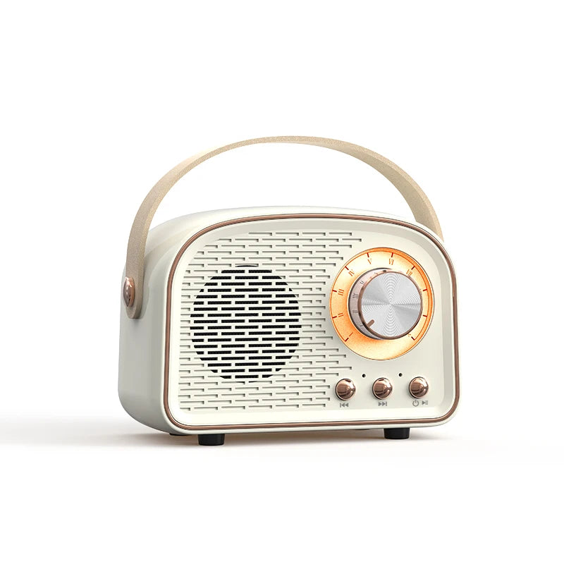 HIFI Bluetooth Speaker with Mic & FM Radio